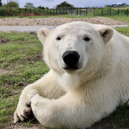 Chic 2 Bed Peak District Cottage Barn Near Alton Towers, Polar Bears, Chatsworth House Лийк Екстериор снимка
