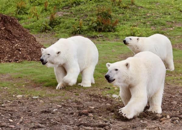 Chic 2 Bed Peak District Cottage Barn Near Alton Towers, Polar Bears, Chatsworth House Лийк Екстериор снимка